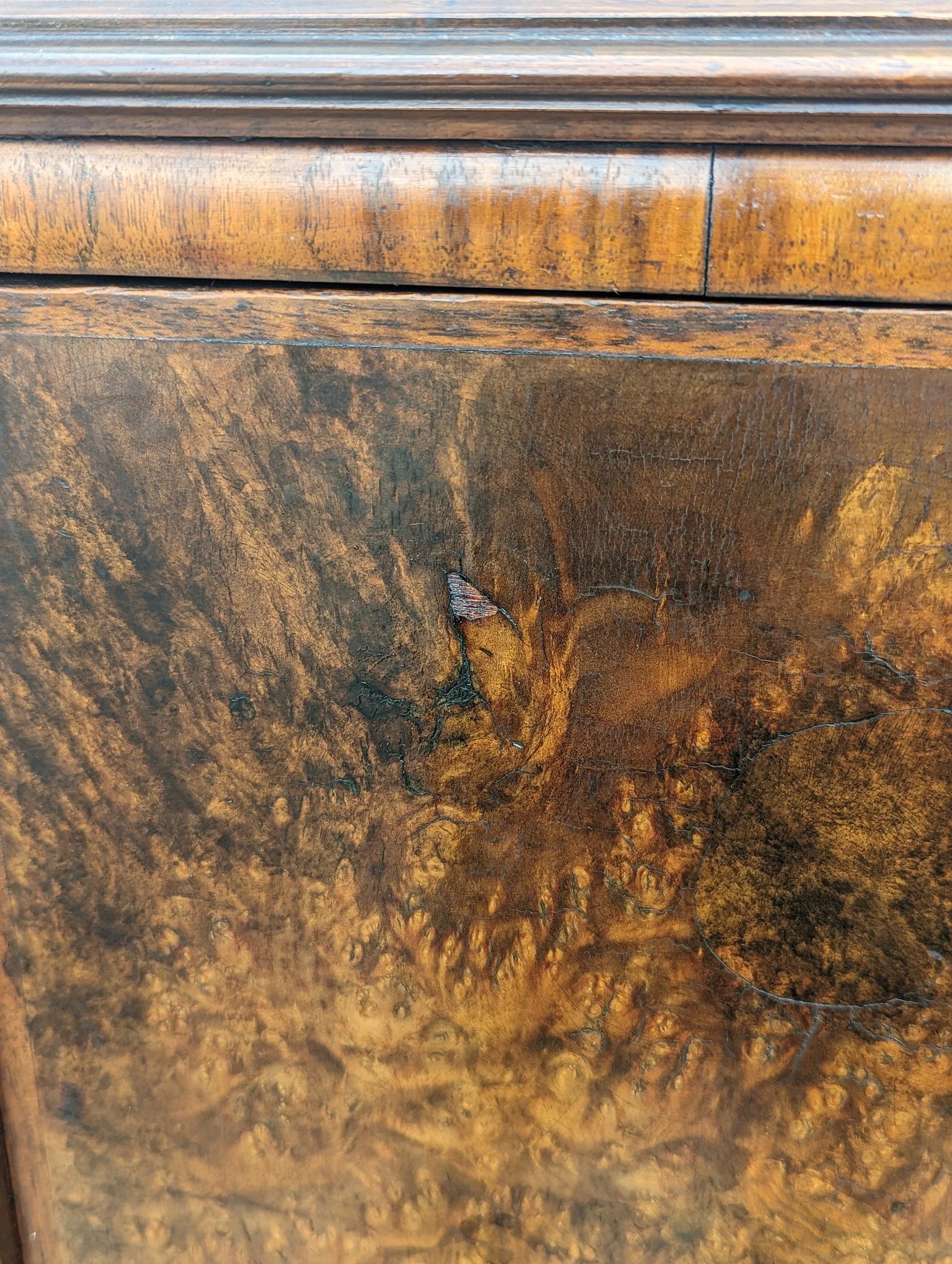 English Burlwood & Walnut Cabinet