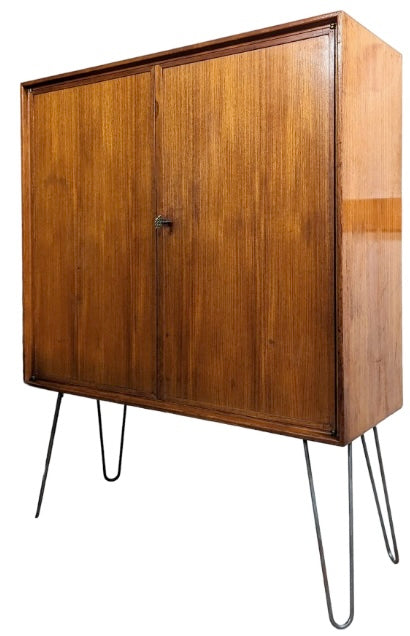 Mid Century Modern Swedish Teak Cabinet