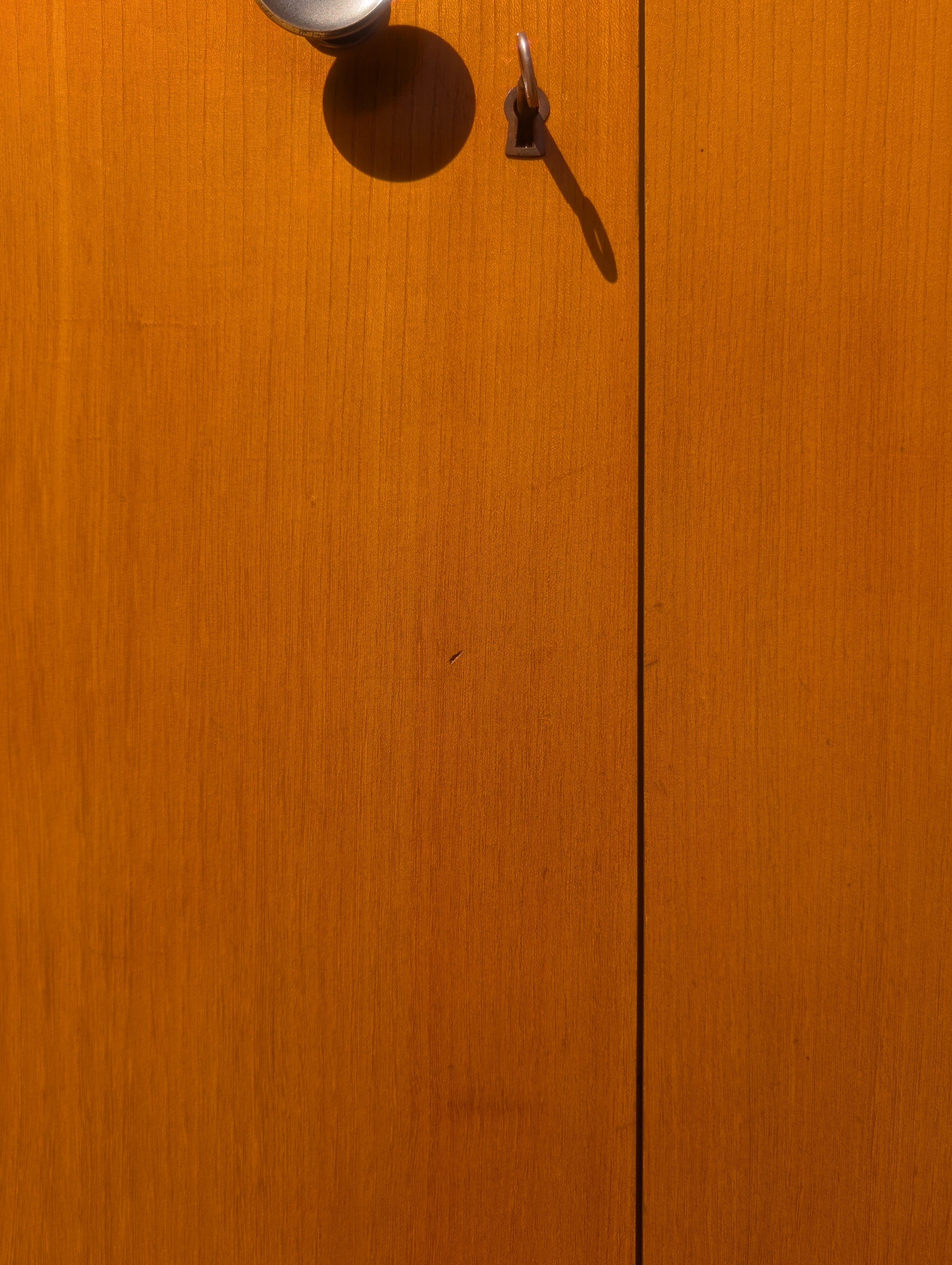 Modern Swedish Art Deco Birch and Elm Cabinet