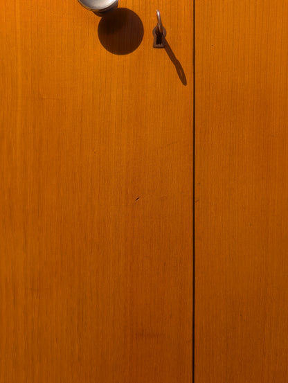 Modern Swedish Art Deco Birch and Elm Cabinet